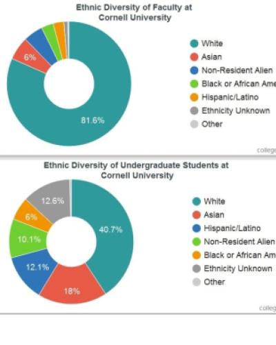 pie charts of ethnic diversity at Cornell for faculty and undergraduates